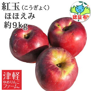 【訳あり】 【送料無料】 紅玉 ほほえみ(訳あり) 約9kg(36-56玉)減農薬 化学肥料不使用(無化学肥料) キズ有り等 特別栽培農産物認証有り青森県産りんご ※沖縄・離島:送料1100円
