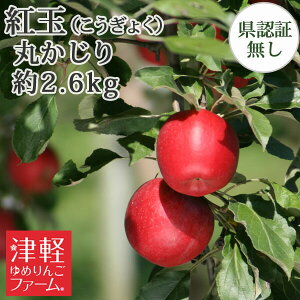 10/6܂Ń|Cg3{Iyz g ۂiGiEʁj 2.6kgi12-14ʁj w엿͔| @ Fؖ  Y FȂ XY XYь w엿sgpp M