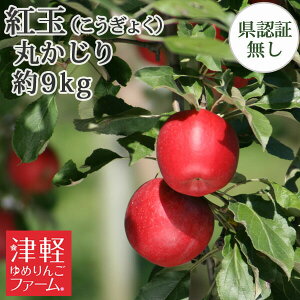 10/6܂Ń|Cg3{Iyzg ۂiGiEʁj 9kgi50-56ʁj w엿͔| Fؖ w엿sgp ߕi Y FȂ XY XYь  Mtg