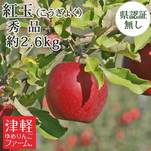 10/6܂Ń|Cg3{Iyz g Gi 2.6kgi8-13ʁj w엿͔| Fؖ yi Y FȂ w엿͔| XY XYь p Mtg  j a