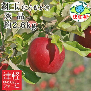10/6܂Ń|Cg3{yz g Gi 2.6kgi8-13ʁj FؗL w엿͔| y ʍ͔|_YF Y FL XY XYь p Mtg  j a
