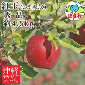 yz g Gi 4.5kgi18-23ʁj w엿͔| FؗL y ʍ͔|_YF Y FL XY w엿sgp XYь p Mtg  j a 