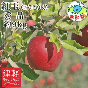 10/6܂Ń|Cg3{Iyz g Gi 9kgi36-46ʁjw엿͔| FؗL y ʍ͔|_YF Y FL XY XYь p Mtg  j a