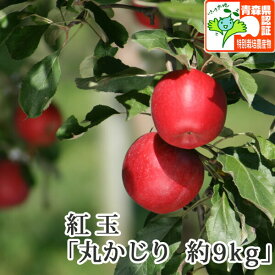 楽天市場 重さ 1個 りんご 食品 の通販