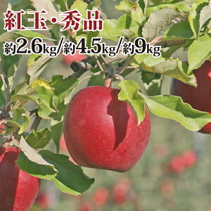 yz g Gi 2.6kg/4.5kg/9kg _ w엿sgpiw엿j Fؖ yi Y FȂ XY XYь p Mtg  j a v[