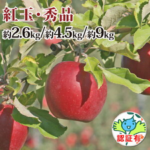 yz g Gi 2.6kg/4.5kg/9kg _ w엿sgpiw엿j F؂ ʔ_Y@yi Y XY XYь p Mtg  j a v