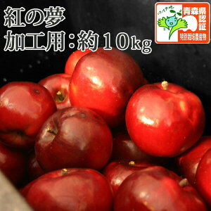 11/8O㔭Jn\I yXY񂲁z g̖ Hp 10kg@ol߁@ EF1100~