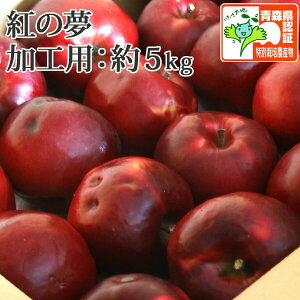  yXY񂲁z g̖ Hp 5kg@ol߁@ EF1100~