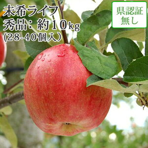 󏭕i񂲁EN[ցEyXYьE①ցz 󃉃Ct Gi 10kg(28-40j Fؖ p v[gɂI j a  Yn EF1100