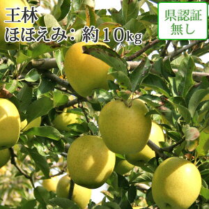 ※早期予約ポイントUP対象外【 送料無料】 王林 ほほえみ(訳あり) 約10kg 県認証無し キズ有り 葉とらず 青森県産りんご 贈答用 ※沖縄・離島:送料1100円