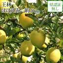 【 送料無料】 王林 ほほえみ（訳あり） 約5kg 県認証無し キズ有り 葉とらず 青森県産りんご ※沖縄・離島：送料1100円