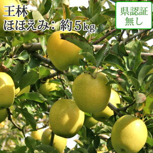 ※早期予約ポイントUP対象外【 送料無料】 王林 ほほえみ(訳あり) 約5kg 県認証無し キズ有り 葉とらず 青森県産りんご ※沖縄・離島:送料1100円