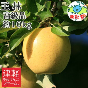 10/30までポイント3倍【 送料無料】 王林 高級品 約10kg 県認証有り 青森県産りんご 特別栽培農産物 贈答用・ギフト ※沖縄・離島:送料1100円