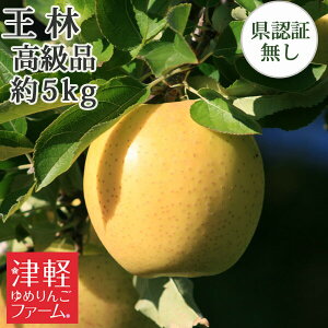 10/30までポイント3倍【 送料無料】 王林 おうりん 高級品 約5kg 県認証無し 青森県産りんご 贈答用 国産 認なし ※沖縄・離島:送料1100円