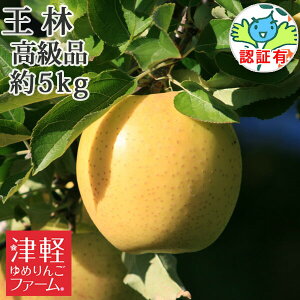 10/30までポイント3倍!【お歳暮】 【 送料無料】 王林 高級品 約5kg 県認証有り 青森県産りんご 特別栽培農産物 贈答用・ギフト ※沖縄・離島:送料1100円