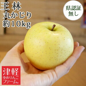 10/30までポイント3倍!【 送料無料】送料無料 王林 丸かじり(秀品・小玉)約10kg 県認証無し 食べきりサイズ 小さめ 青森県産林檎 国産 贈答用 ギフト 弘前産 産地直送 津軽地方 お祝い 御礼