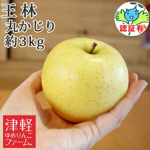 10/30までポイント3倍!【 送料無料】送料無料 王林 おうりん 丸かじり(秀品・小玉) 約3kg 認証有り 青森県産林檎 小さめ 特別栽培農産物 減農薬栽培 国産 食べきり 青りんご 産直 弘前産 産