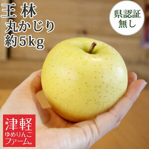 10/30までポイント3倍!【 送料無料】送料無料 王林 丸かじり(秀品・小玉) 約5kg 県認証無し 食べきりサイズ 小さめ 青森県産林檎 国産 贈答用 ギフト 弘前産 産地直送 津軽地方 お祝い 御礼