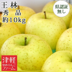 10/30までポイント3倍!王林 おうりん 秀品 約10kg 県認証無し 青森県産りんご 贈答用・ギフト ※沖縄・離島:送料1100円