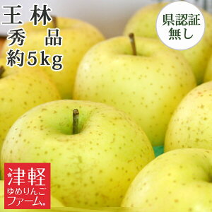 10/30までポイント3倍!【 送料無料】 王林 おうりん 秀品 約5kg 県認証無し 青森県産りんご 贈答用・ギフト ※沖縄・離島:送料1100円
