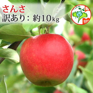 Oi9/23nJnjI|Cg3{IyEXYьz񂳁@قق݁i󂠂j@10kgi28-46jFؗL tƂ炸 j a  Yn \ܖ 
