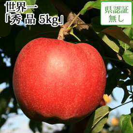 楽天市場 世界一 りんごの通販