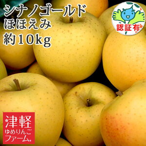 12{Jn\yzy󂠂z  XY yVimS[h قق 10kg FؗLz FؗL LYAό`L蓙 ʍ͔|_Y Xь Y Y