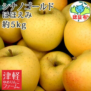 12{Jn\yzy󂠂z  XY yVimS[h قق݁i󂠂j 5kg FؗLzFؗL LYAό`L蓙 ʍ͔|_Y Xь 