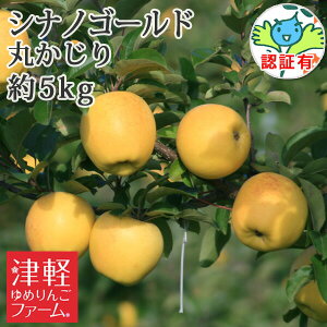 12{Jn\yz XY yVimS[hz ۂiGiEʁj 5kg FؗL  w엿 ͔| ʍ͔|_Y Y yi  p j