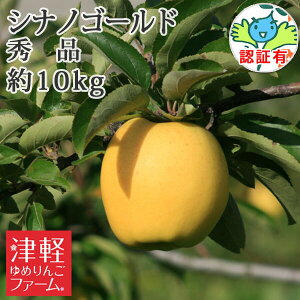 12{Jn\yz XY yVimS[hz Gi 10kg FؗL yi ʍ͔|_Y Y yi 񂹁@Yn HfU[gɂ 