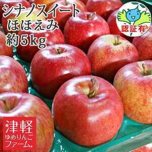 ※ポイントUP対象外【送料無料】 【訳あり】 シナノスイート ほほえみ 約5kg 県認証有り 青森県産りんご キズ 色むら 変形有 特別栽培農産物 青森 林檎 国産 特栽 家庭用 お手軽 お取り寄せ