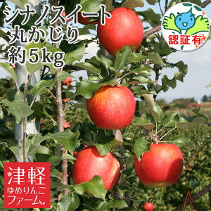 10/25܂Ń|Cg3{Iyz VimXC[g ۂiGiEʁj 5kg FؗL XY  ʍ͔|_Y X Y FL葡p j  a v[g 