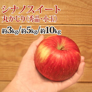 yz VimXC[g ۂiGiEʁj 3kg FؗL XY  ʍ͔|_Y X Y FL葡p j  a v[g EF1100