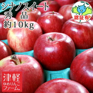 10/25܂Ń|Cg3{Iyz VimXC[g Gi 10kg FؗL XY yi ʍ͔|_Y ь Y  p j  a v[g EF
