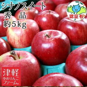 10/25܂Ń|Cg3{Iyz VimXC[g Gi 5kg FؗL XY yi ʍ͔|_Y ь Y  p j  a v[g EF