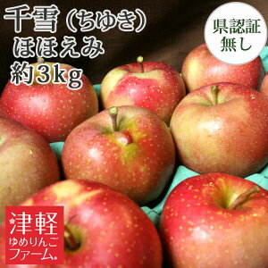 ※ポイントUP対象外【送料無料】希少品種「 千雪(ちゆき)」 ほほえみ(訳あり) 約3kg 県認証無し キズ、色むら等有 青森県産りんご 国産 認なし お手軽品 ご家庭用 毎朝のフレッシュジュ
