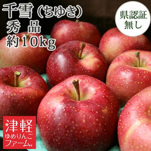 10/25までポイント3倍!【送料無料】 希少品種「 千雪(ちゆき)」 秀品 約10kg 県認証無し お手軽品 青森県産りんご 栽培量の少ない希少品種で抜群の甘さで人気の赤いりんご 贈答用 御礼 内