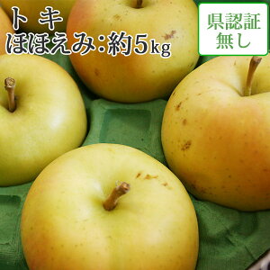 |Cg3{ΏۊOy z gL قق݁i󂠂j 5kg (14-20)@F؂Ȃ F XY EF1100~