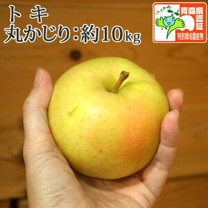 9/25܂Ń|Cg3{Ii10njy z gL ۂiGiEʁj 10kg (40-56)@FؗL Xʍ͔|_YF؎擾 F XY EF