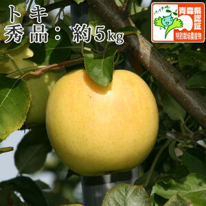 9/25܂Ń|Cg3{Ii10njy z gL Gi 5kg (14-20)@FؗL Xʍ͔|_YF؎擾 F XY EF1100~
