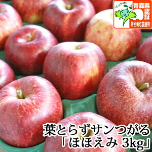yzy󂠂z tƂ炸T قق 3kg FؗL XY LYL蓙 ʍ͔|_YF Y j a j  Yn ÌyYь 9 nEB 