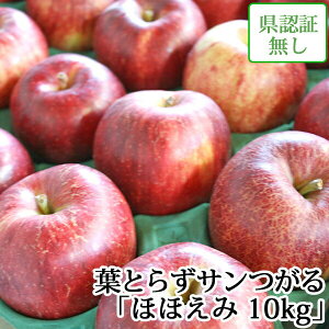 yzy󂠂z tƂ炸T قق 10kg Fؖ XY LYL蓙 Y j a j  Yn ÌyYь 9 nEB EF1