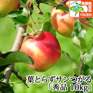 蕨ɂyz tƂ炸T Gi 10kg FؗL XY y ʍ͔|_YF Y j a j  Yn ÌyYь 9 nEB 