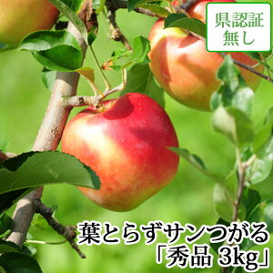蕨ɂyz tƂ炸T Gi 3kg Fؖ XY yi Y j a j  Yn ÌyYь 9 nEB EF1100~