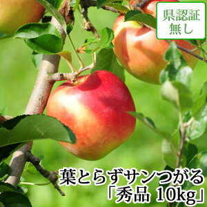 9/5܂Ń|Cg3{I蕨ɂyz tƂ炸T Gi 10kg Fؖ XY yi Y j a j  Yn ÌyYь 9 nEB 