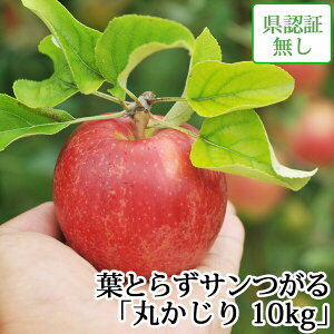 hV̓̑蕨ɂyztƂ炸T ۂ 10kg Fؖ XY  Y FȂ j a j  Yn ÌyYь 9 nEB y