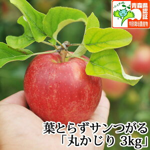 hV̓̑蕨ɂyz tƂ炸T ۂ 3kgi12`14j F؂ XY  Y FȂ j a j  Yn ÌyYь 9 n
