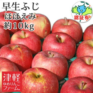 yzy󂠂z  ӂiЂ낳ӂEق̂j ققݖ10kg(28-40) FؗL Xʍ͔|_YF؎擾 LY Fނ ό` Yn ÌyY XYь