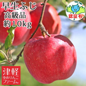 yz ӂiЂ낳ӂEق̂j i 10kg FؗL Xʍ͔|_YF؎擾 I XYь OOY p Mtg  j a v[gɂ 