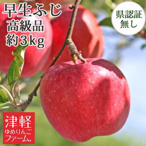 9/30܂Ń|Cg3{Iyz ӂiЂ낳ӂEق̂j i 3kg(8-11) Fؖ I XYь OOY p Mtg  j a v[gɂ E